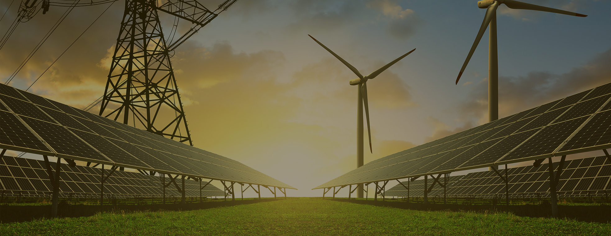 Ӣ���ֻ�������